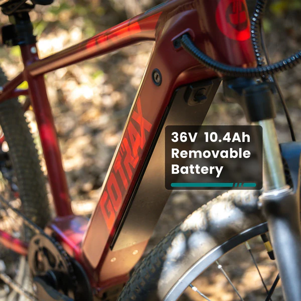 L1NE Mid Drive eMTB - 图片 2