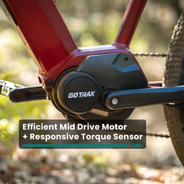 L1NE Mid Drive eMTB - 图片 5