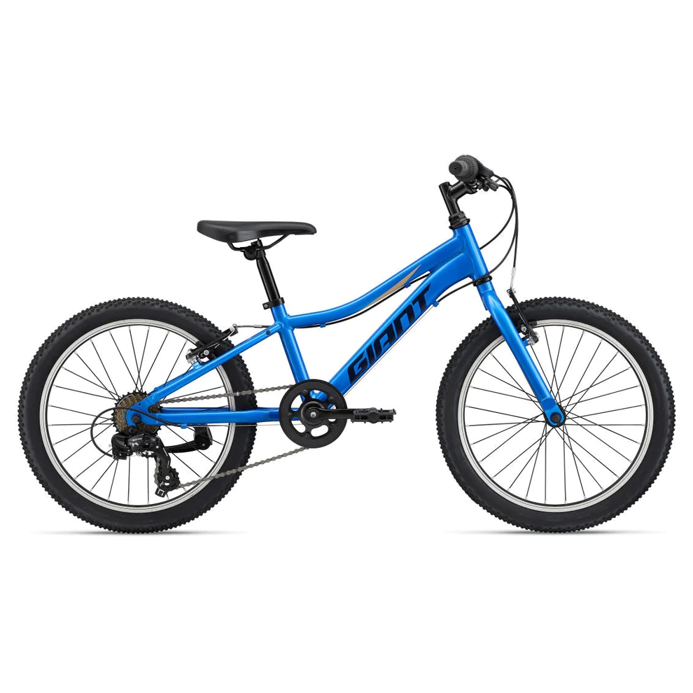 Giant XTC JR 20 Lite Kids Bike (2023)