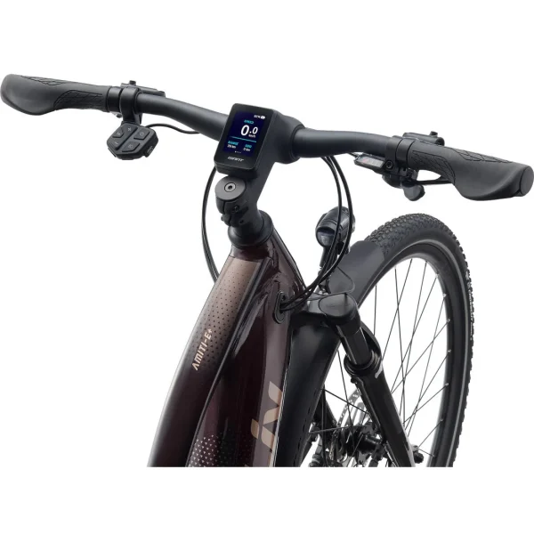 Liv Amiti E+ 2 28MPH E-Bike 2022 - 图片 2