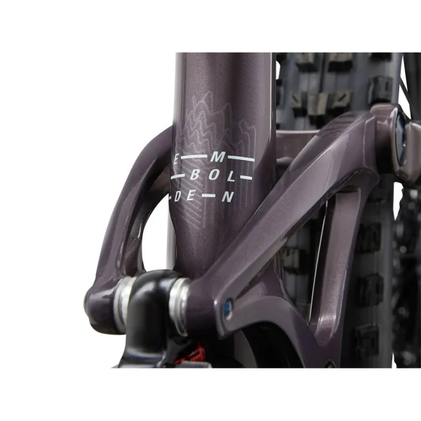 Liv Embolden 29 1 2024 - 图片 2