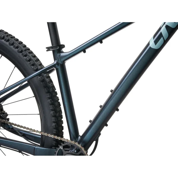 Liv Lurra 29er 1 Mountain Bike 2023 - 图片 2