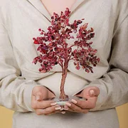 Red Tourmaline Crystal Tree - 图片 3